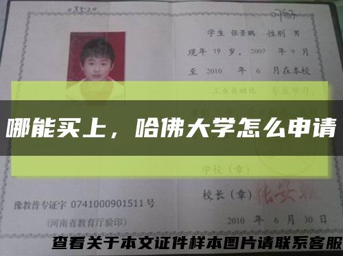 哪能买上，哈佛大学怎么申请缩略图