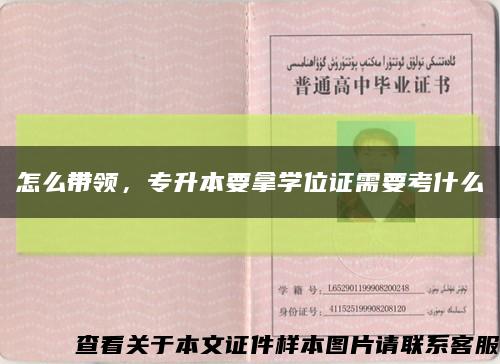 怎么带领，专升本要拿学位证需要考什么缩略图