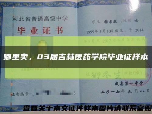 哪里卖，03届吉林医药学院毕业证样本缩略图