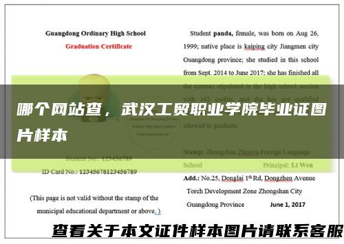 哪个网站查，武汉工贸职业学院毕业证图片样本缩略图