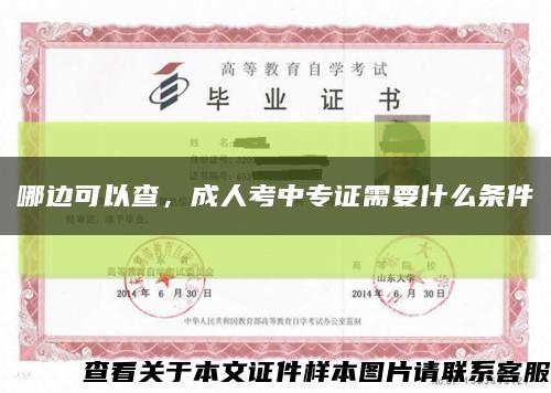哪边可以查，成人考中专证需要什么条件缩略图