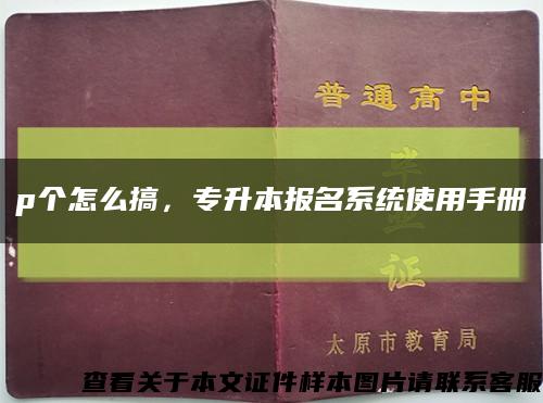 p个怎么搞，专升本报名系统使用手册缩略图