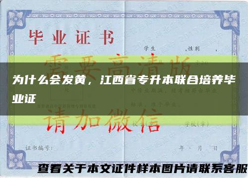 为什么会发黄，江西省专升本联合培养毕业证缩略图
