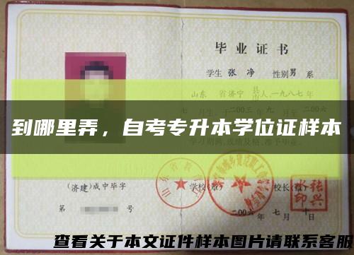 到哪里弄，自考专升本学位证样本缩略图