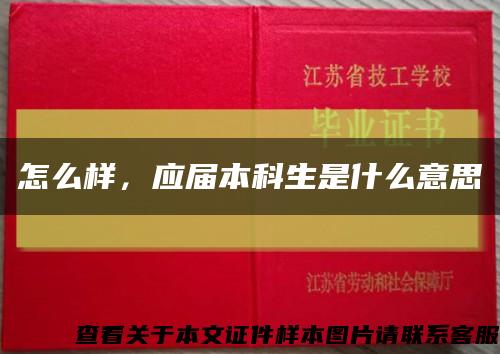 怎么样，应届本科生是什么意思缩略图