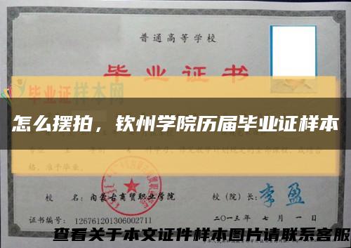 怎么摆拍，钦州学院历届毕业证样本缩略图