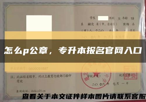 怎么p公章，专升本报名官网入口缩略图