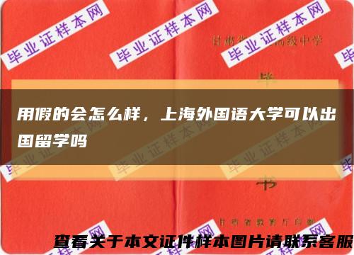 用假的会怎么样，上海外国语大学可以出国留学吗缩略图