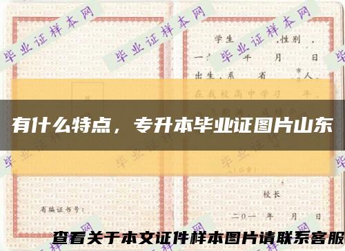有什么特点，专升本毕业证图片山东缩略图