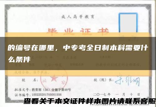 的编号在哪里，中专考全日制本科需要什么条件缩略图