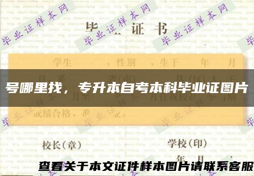 号哪里找，专升本自考本科毕业证图片缩略图