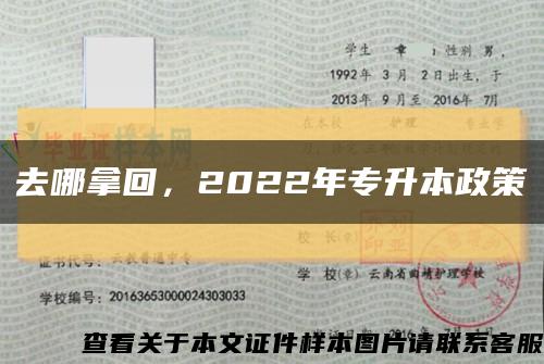 去哪拿回，2022年专升本政策缩略图