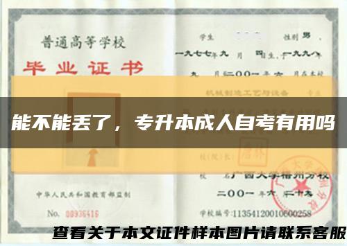 能不能丢了，专升本成人自考有用吗缩略图