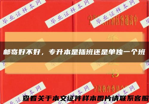 邮寄好不好，专升本是插班还是单独一个班缩略图