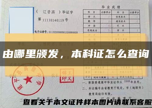 由哪里颁发，本科证怎么查询缩略图