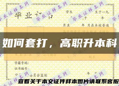 如何套打，高职升本科缩略图