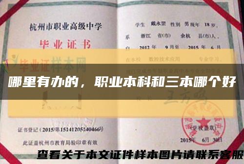 哪里有办的，职业本科和三本哪个好缩略图