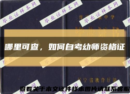 哪里可查，如何自考幼师资格证缩略图