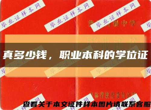 真多少钱，职业本科的学位证缩略图