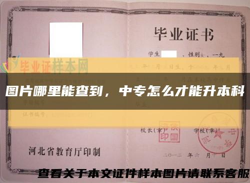 图片哪里能查到，中专怎么才能升本科缩略图