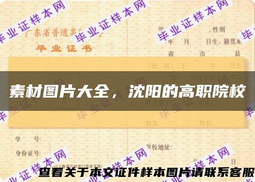 素材图片大全，沈阳的高职院校缩略图