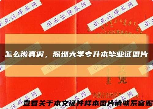 怎么辨真假，深圳大学专升本毕业证图片缩略图