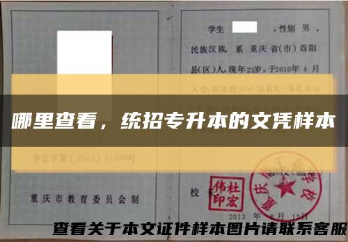 哪里查看，统招专升本的文凭样本缩略图