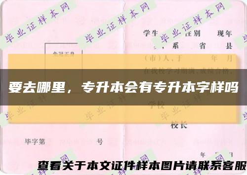 要去哪里，专升本会有专升本字样吗缩略图