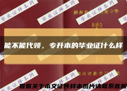 能不能代领，专升本的毕业证什么样缩略图
