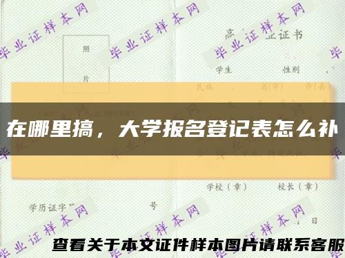 在哪里搞，大学报名登记表怎么补缩略图