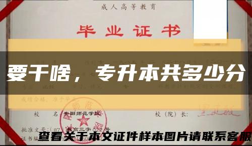 要干啥，专升本共多少分缩略图