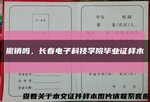 撤销吗，长春电子科技学院毕业证样木缩略图
