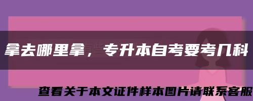 拿去哪里拿，专升本自考要考几科缩略图