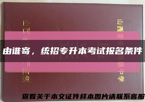 由谁寄，统招专升本考试报名条件缩略图