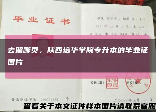 去照哪页，陕西培华学院专升本的毕业证图片缩略图