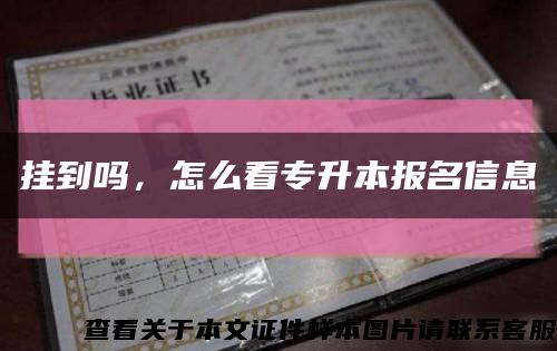 挂到吗，怎么看专升本报名信息缩略图