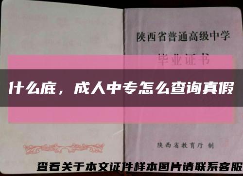 什么底，成人中专怎么查询真假缩略图