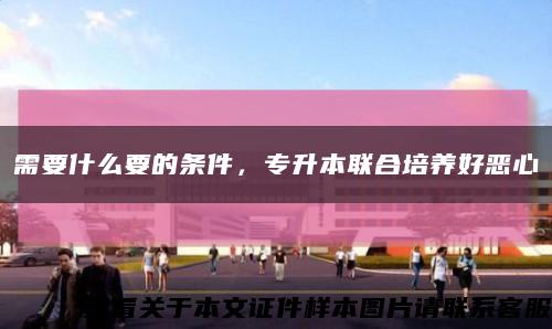 需要什么要的条件，专升本联合培养好恶心缩略图