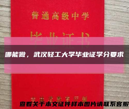 哪能做，武汉轻工大学毕业证学分要求缩略图