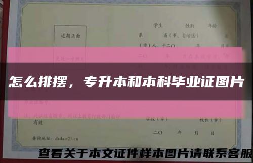 怎么排摆，专升本和本科毕业证图片缩略图