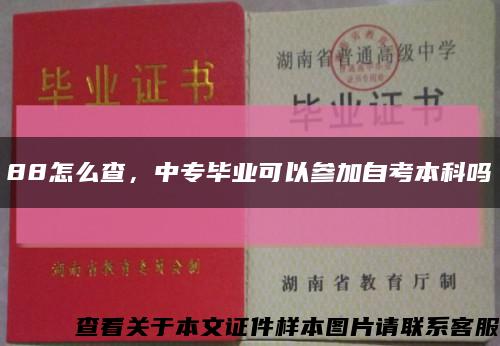 88怎么查，中专毕业可以参加自考本科吗缩略图