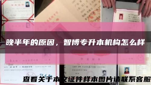晚半年的原因，智博专升本机构怎么样缩略图