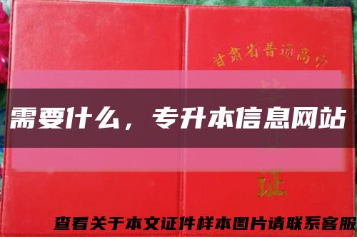 需要什么，专升本信息网站缩略图