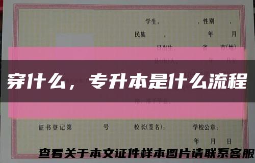 穿什么，专升本是什么流程缩略图