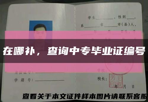 在哪补，查询中专毕业证编号缩略图