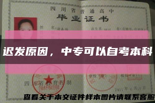 迟发原因，中专可以自考本科缩略图