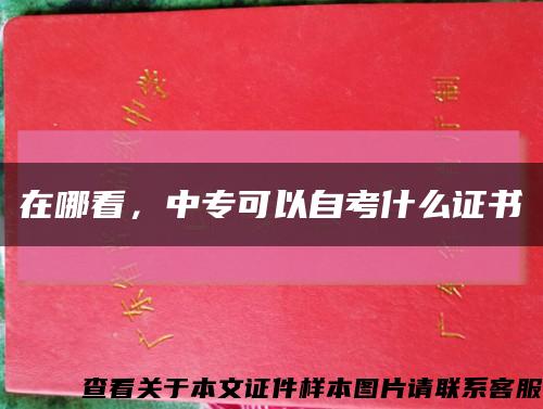 在哪看，中专可以自考什么证书缩略图