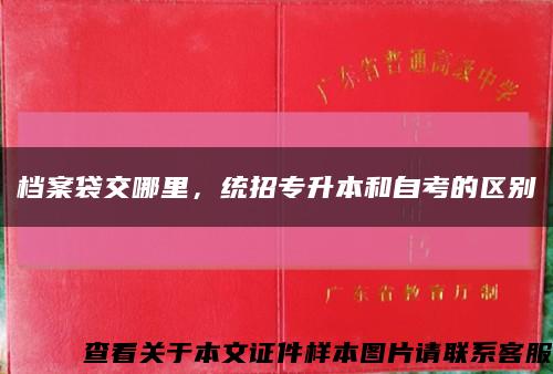 档案袋交哪里，统招专升本和自考的区别缩略图