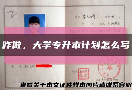 咋做，大学专升本计划怎么写缩略图