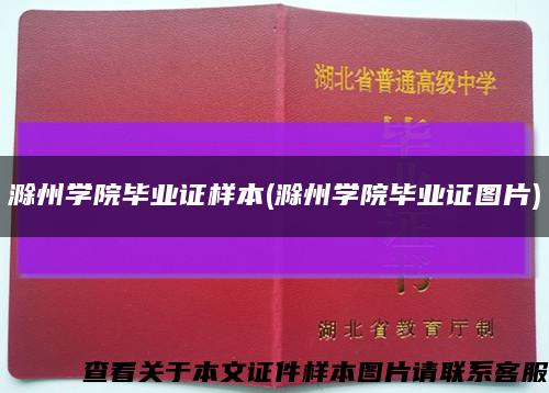 滁州学院毕业证样本(滁州学院毕业证图片)缩略图